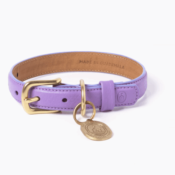Fairy Collar
