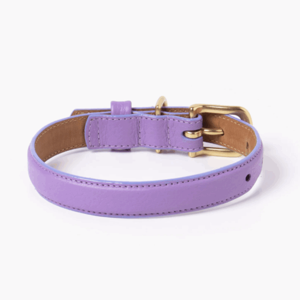 Fairy Collar