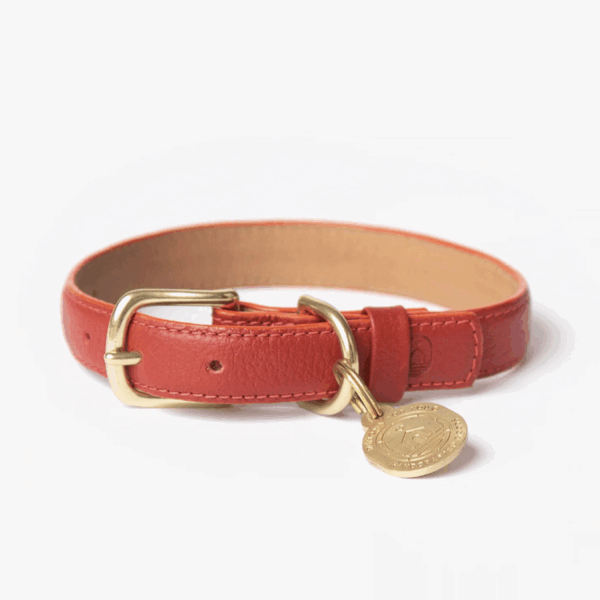 Mars Collar