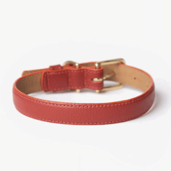 Mars Collar