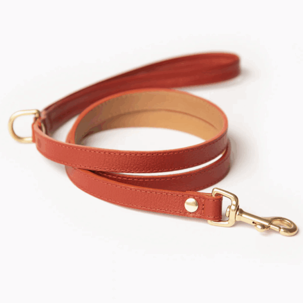 Mars Leash