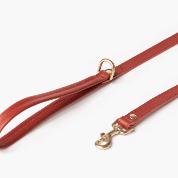 Mars Leash