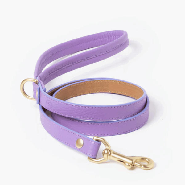 Fairy Leash