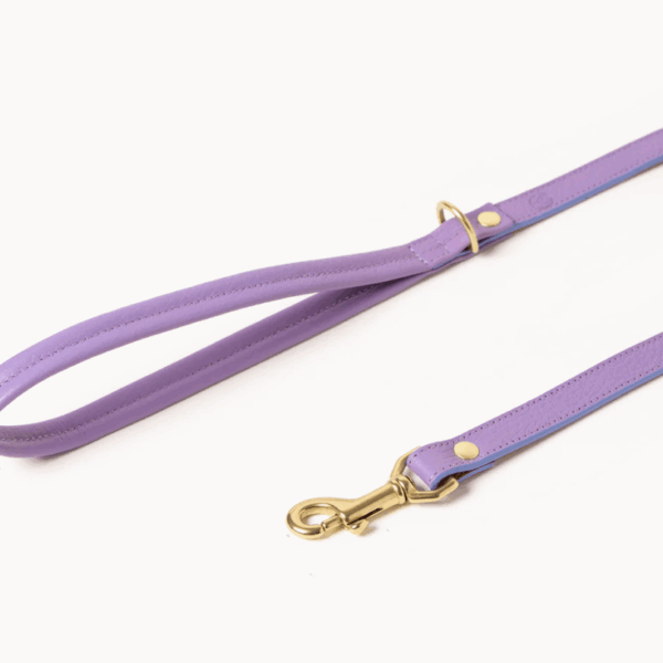 Fairy Leash