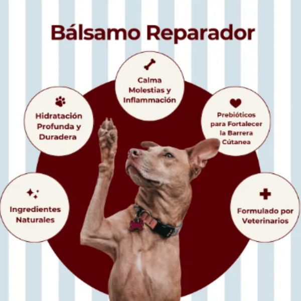 Bálsamo
