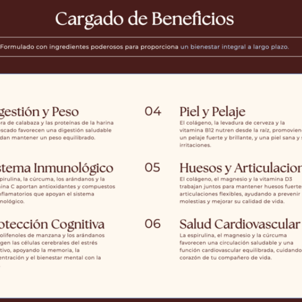 Rutina Nutrición